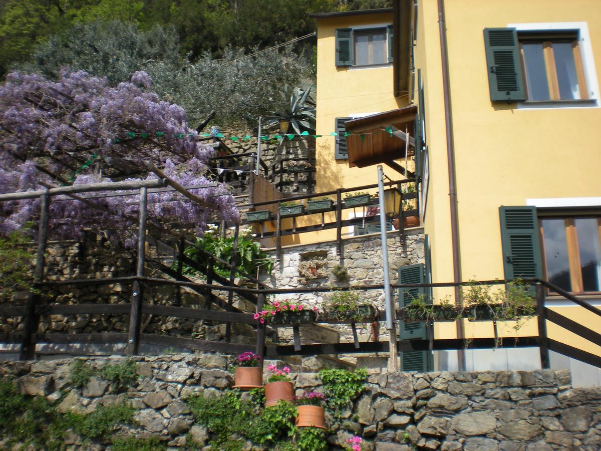 Agriturismo Il Sogno Lorsica Exterior foto